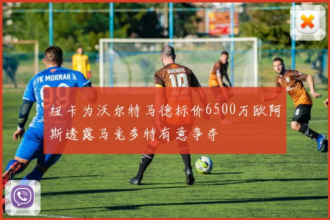 纽卡为沃尔特马德标价6500万欧阿斯透露马竞多特有意争夺